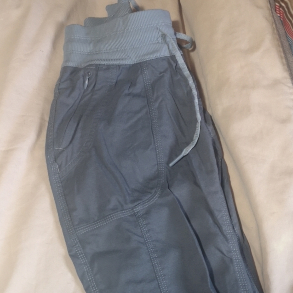 The North face pants